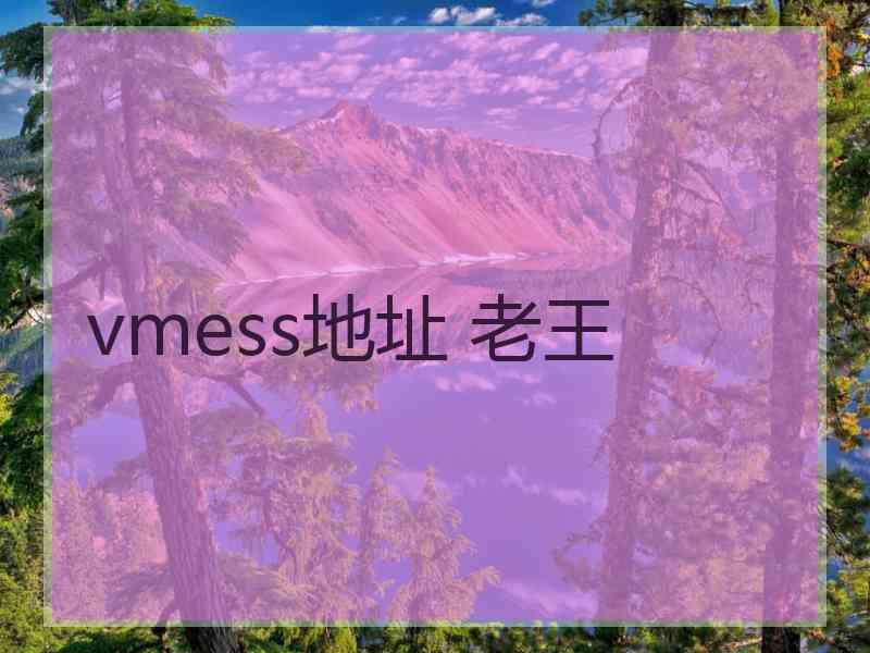 vmess地址 老王