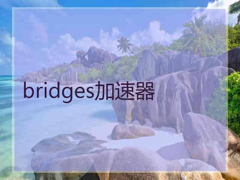 bridges加速器