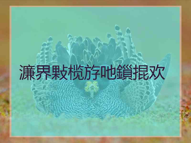 濂界敤榄斿吔鎻掍欢