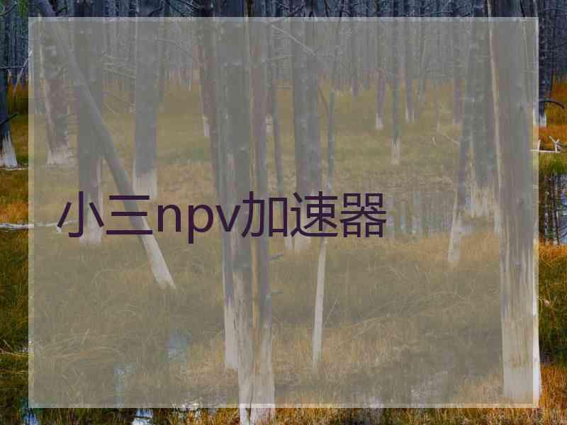 小三npv加速器