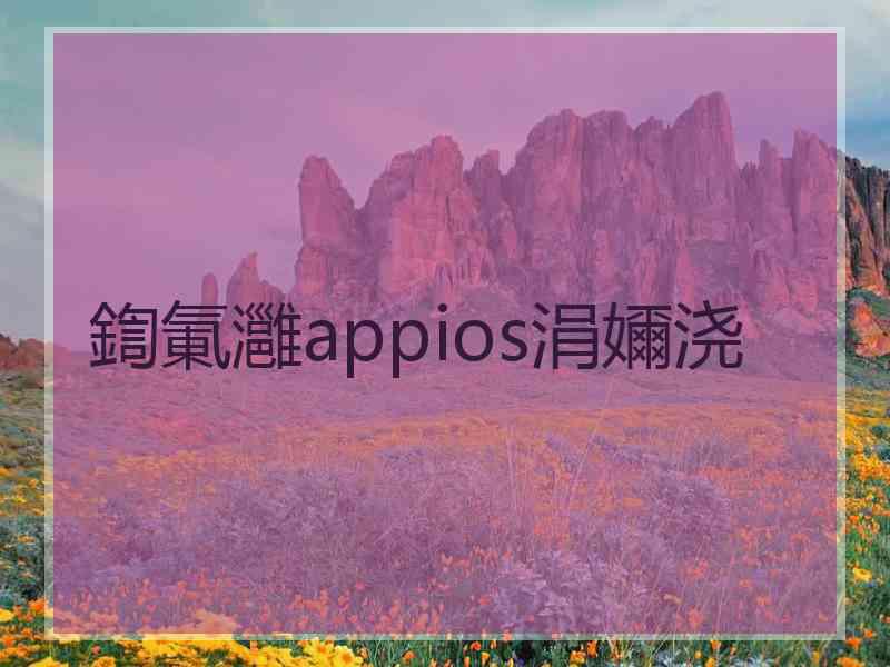 鍧氭灉appios涓嬭浇