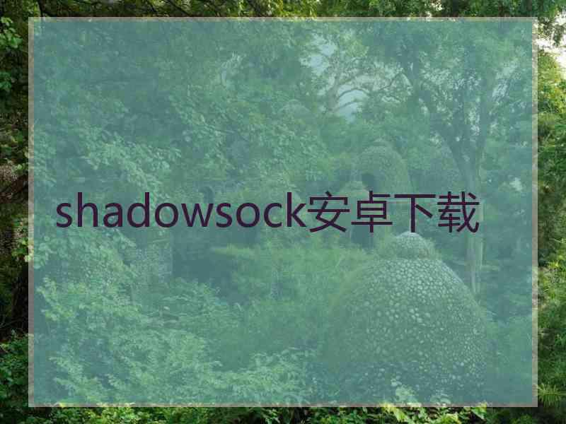 shadowsock安卓下载