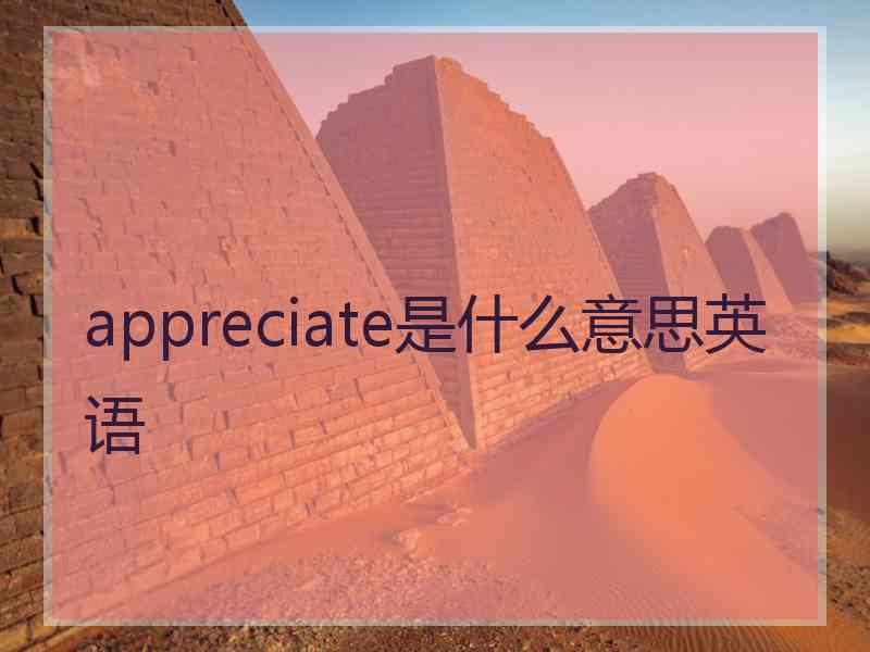 appreciate是什么意思英语