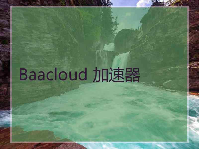 Baacloud 加速器