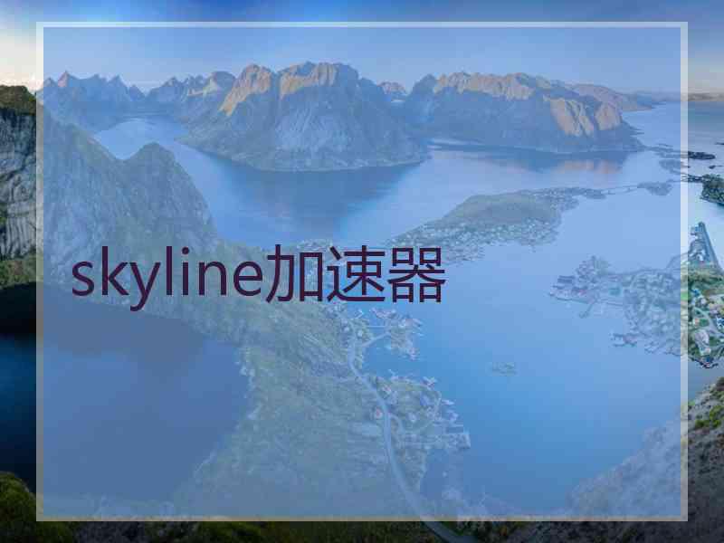 skyline加速器