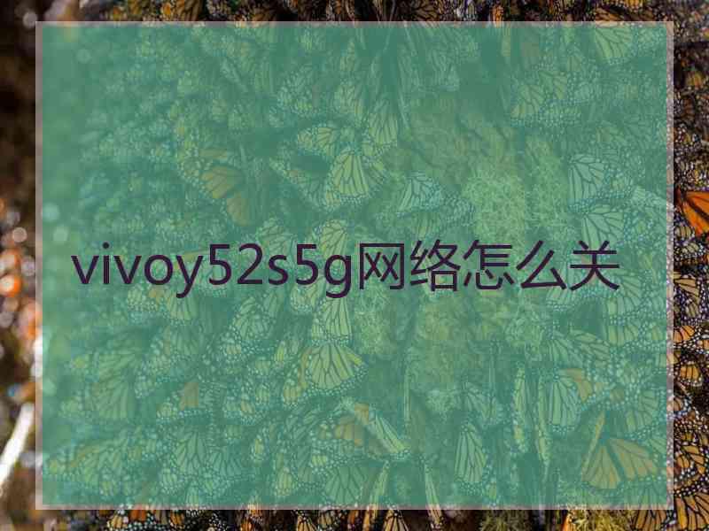 vivoy52s5g网络怎么关