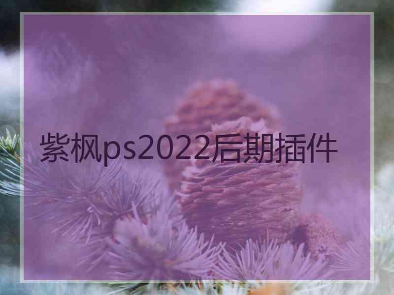 紫枫ps2022后期插件