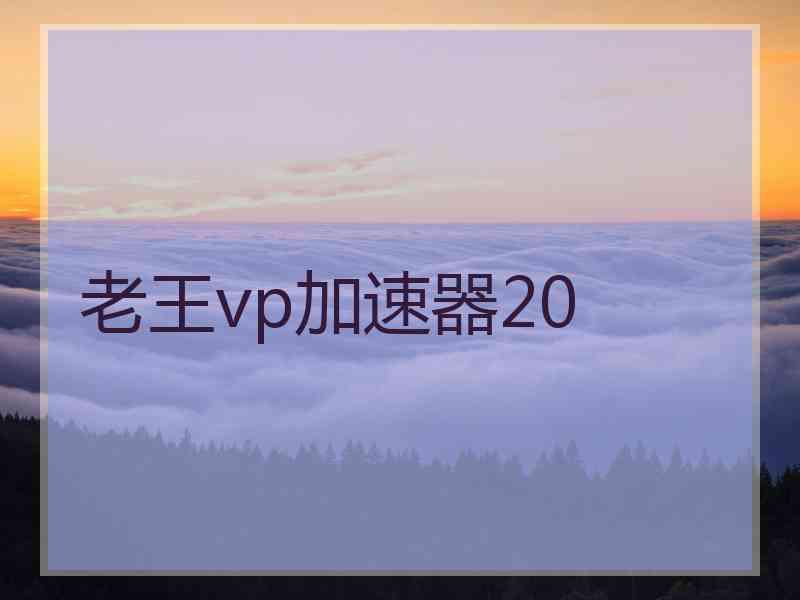 老王vp加速器20