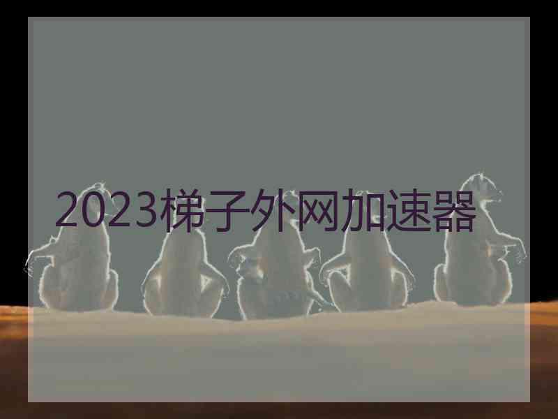 2023梯子外网加速器