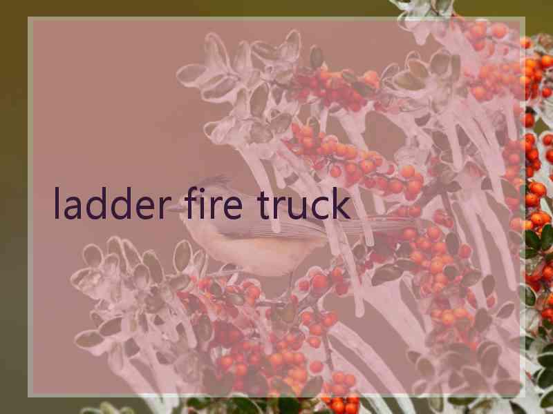 ladder fire truck