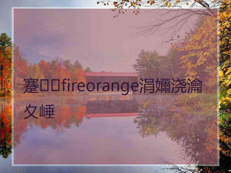 蹇fireorange涓嬭浇瀹夊崜