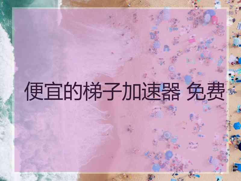 便宜的梯子加速器 免费