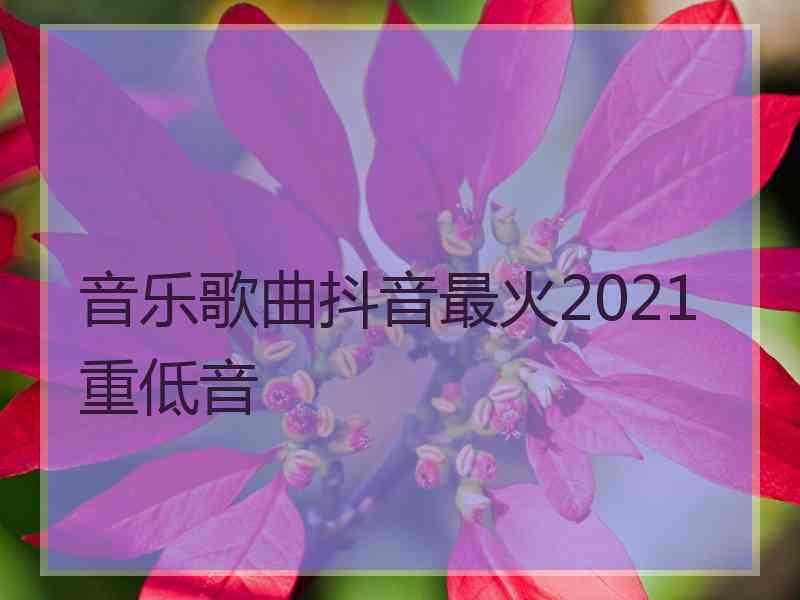 音乐歌曲抖音最火2021重低音