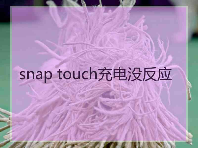 snap touch充电没反应