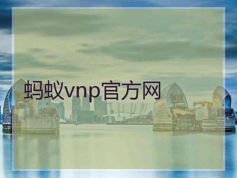 蚂蚁vnp官方网