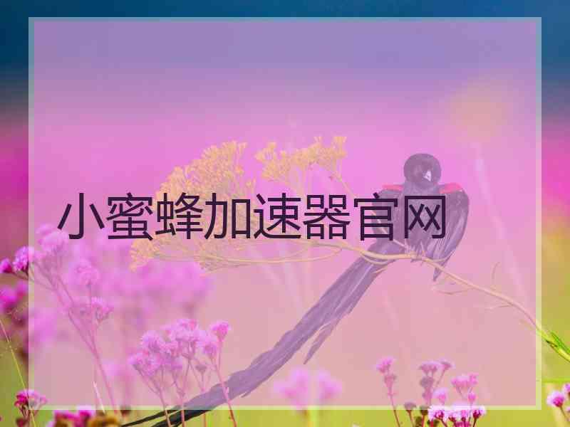 小蜜蜂加速器官网