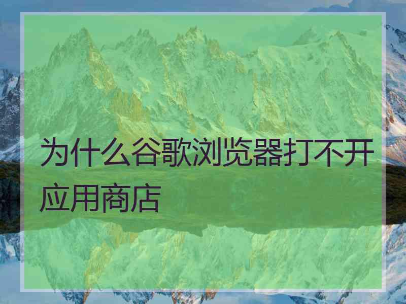 为什么谷歌浏览器打不开应用商店