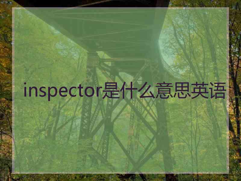 inspector是什么意思英语