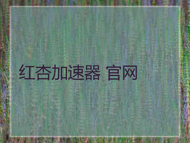 红杏加速器 官网