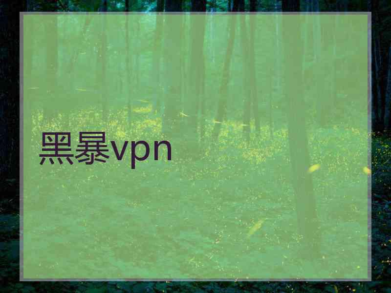 黑暴vpn