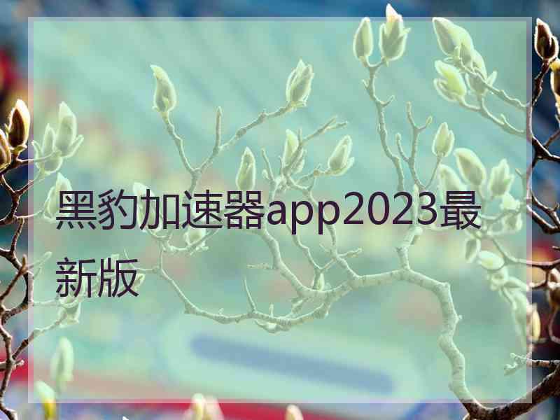 黑豹加速器app2023最新版