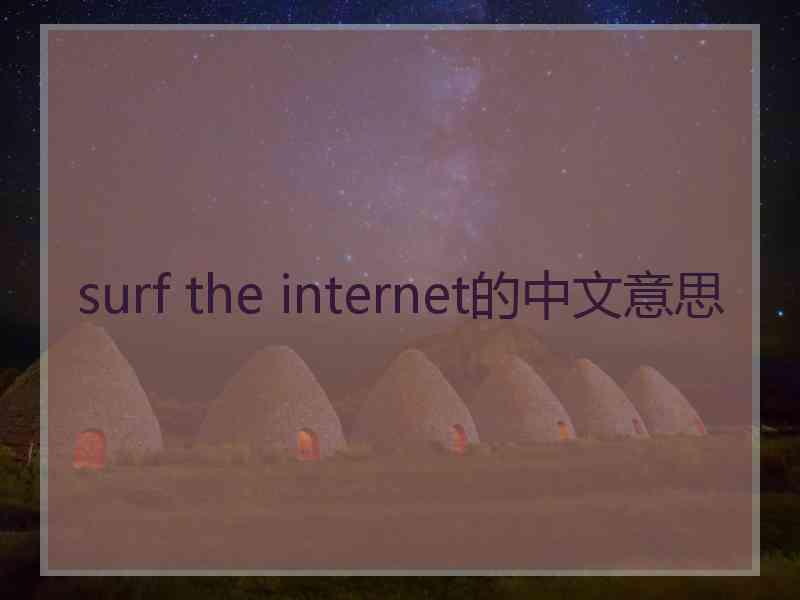 surf the internet的中文意思