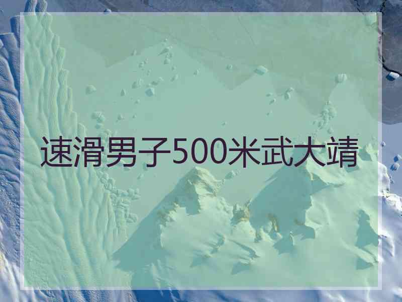 速滑男子500米武大靖