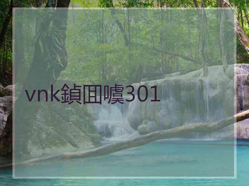 vnk鍞囬噳301