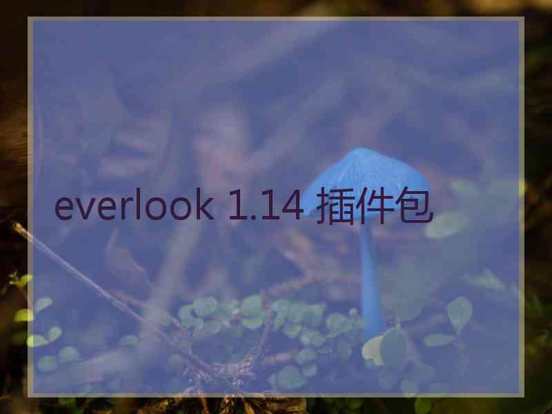 everlook 1.14 插件包