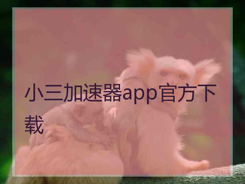 小三加速器app官方下载