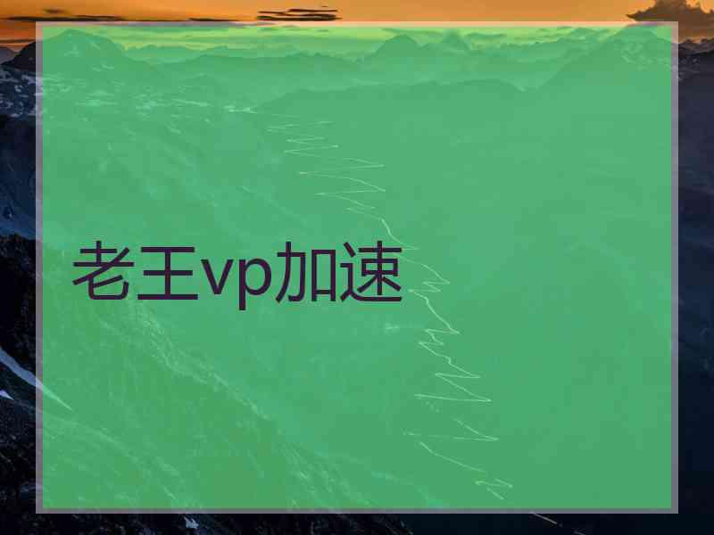 老王vp加速