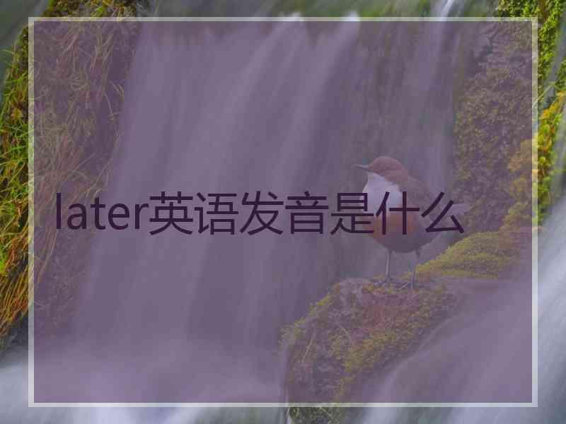 later英语发音是什么