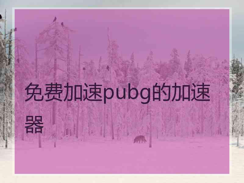 免费加速pubg的加速器