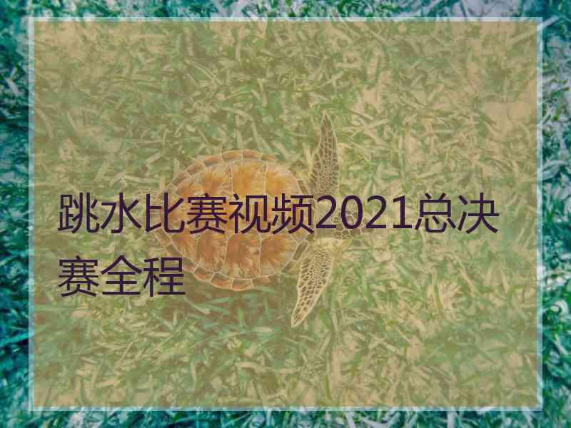 跳水比赛视频2021总决赛全程