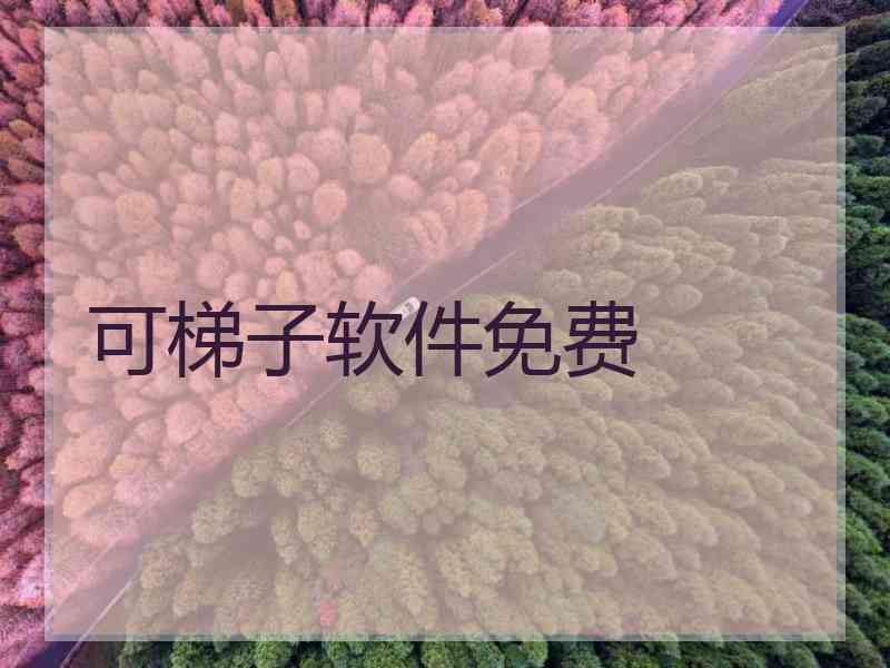 可梯子软件免费