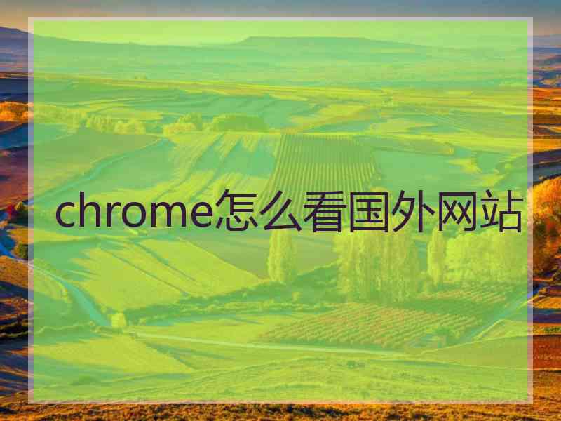 chrome怎么看国外网站