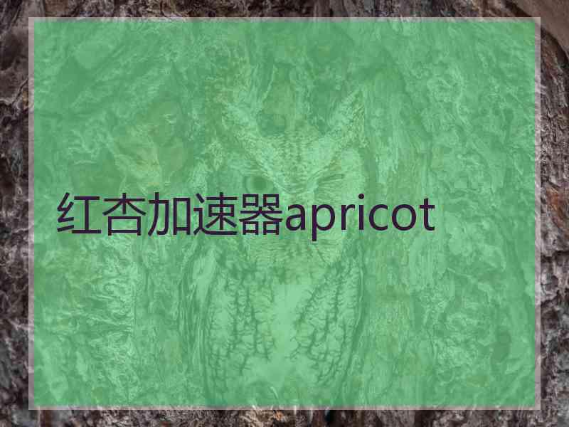 红杏加速器apricot