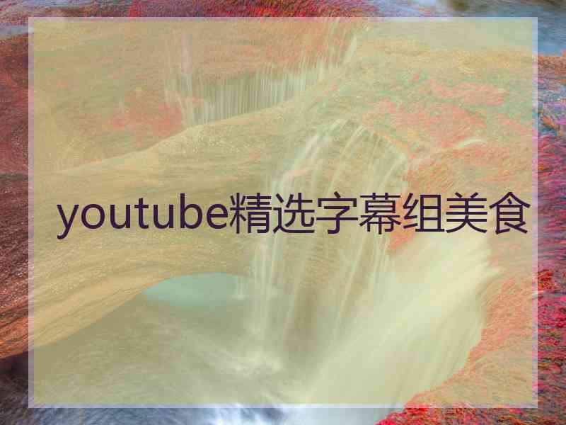 youtube精选字幕组美食