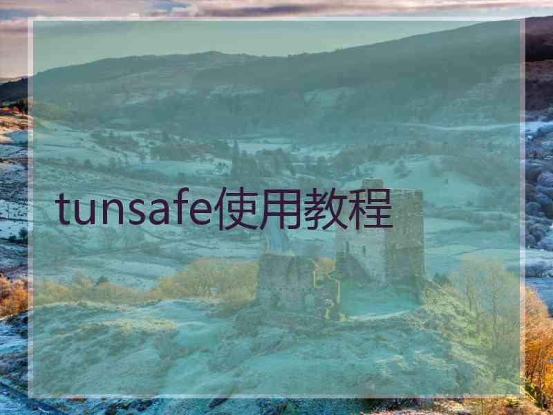 tunsafe使用教程