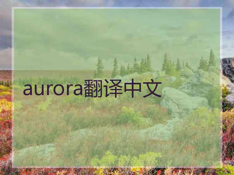 aurora翻译中文