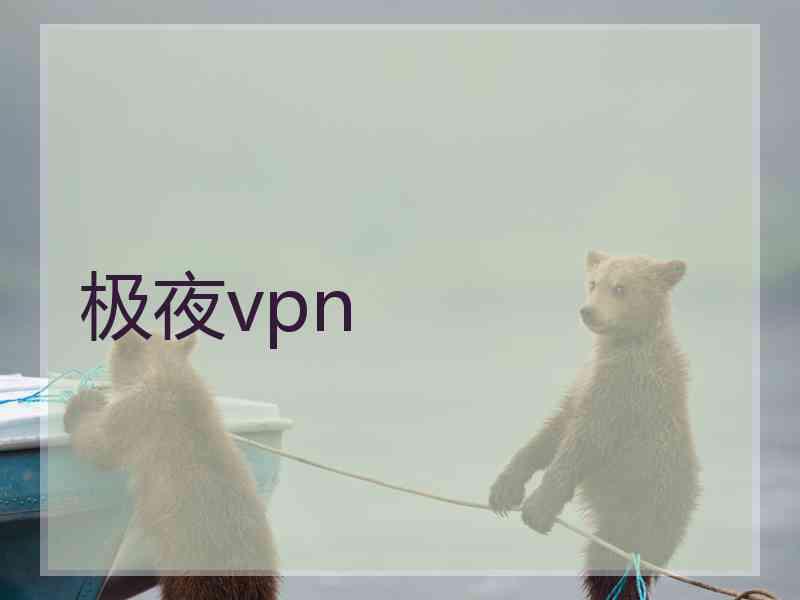 极夜vpn