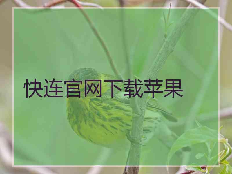 快连官网下载苹果