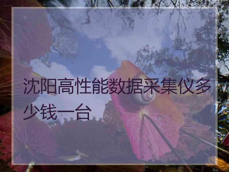 沈阳高性能数据采集仪多少钱一台