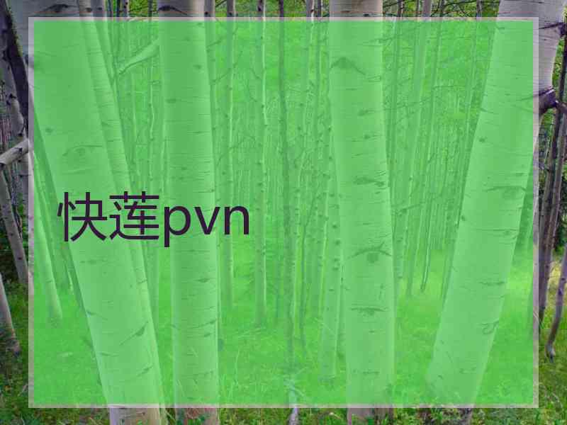 快莲pvn