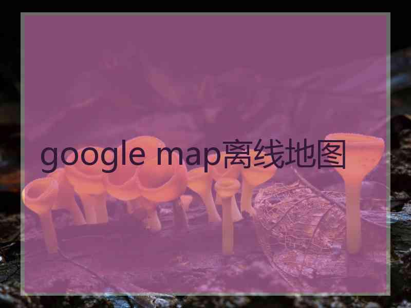 google map离线地图