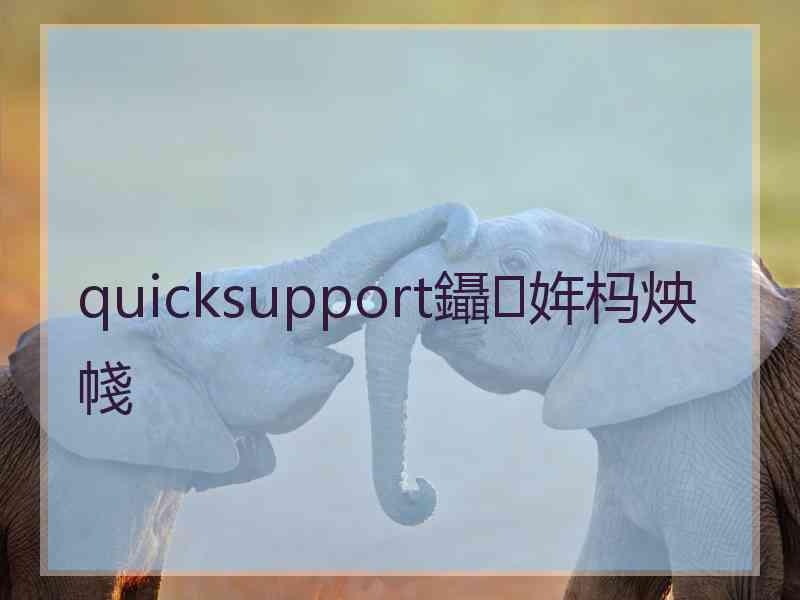 quicksupport鑷姩杩炴帴