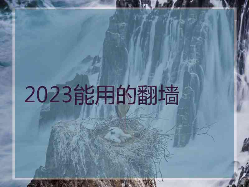 2023能用的翻墙