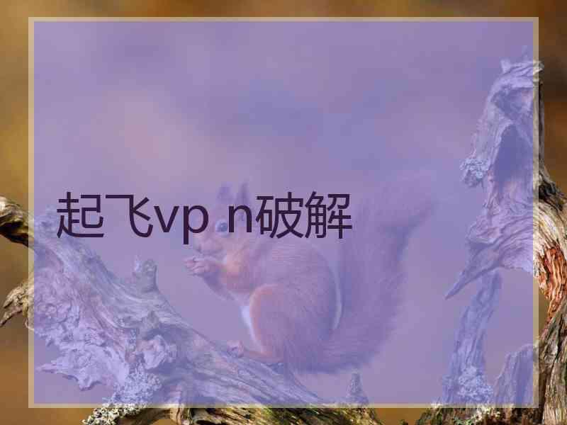 起飞vp n破解