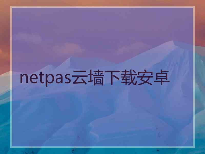 netpas云墙下载安卓