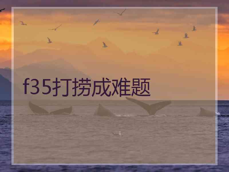 f35打捞成难题